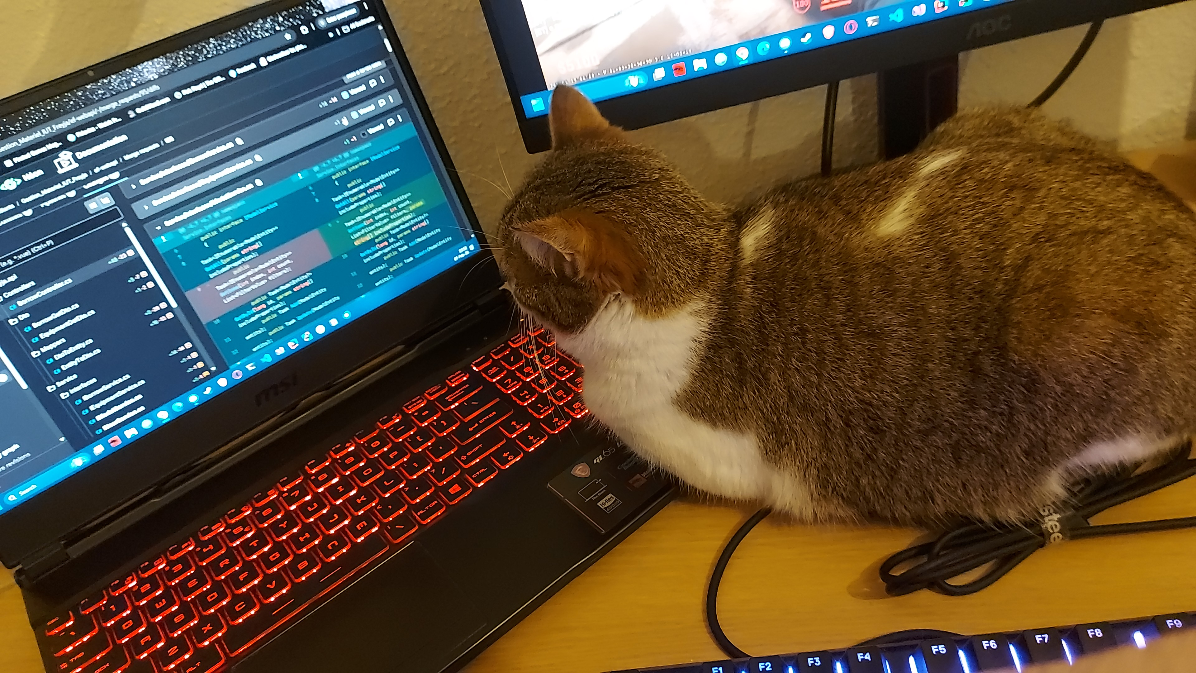 Cat Reviewing PR